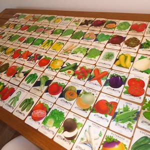 95 different Original All vegetable lot vintage lithographed seed packets packs 1930-1960s General Store Garden San Antonio Texas Lone Star