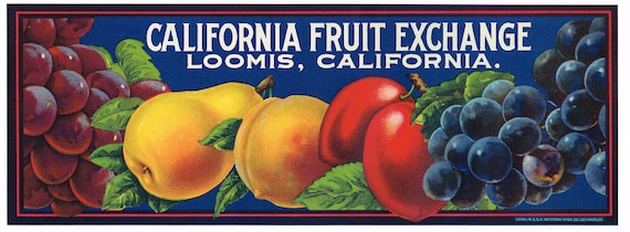 Set of 6 Grape fruit crate labels from California Set of 6 Grape fruit crate labels from California