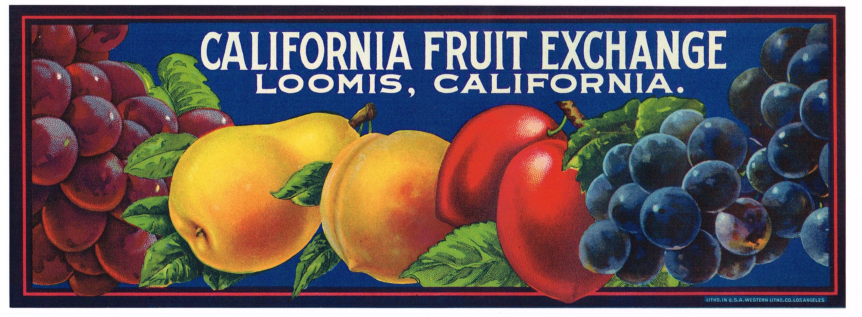 Set of 6 Grape fruit crate labels from California Set of 6 Grape fruit crate labels from California
