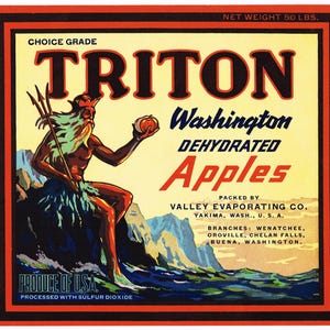 Original vintage apple crate label 1930s Triton Wenatchee Oroville Chelan Falls Buena Washington Poseidon Greek God Scarce Red