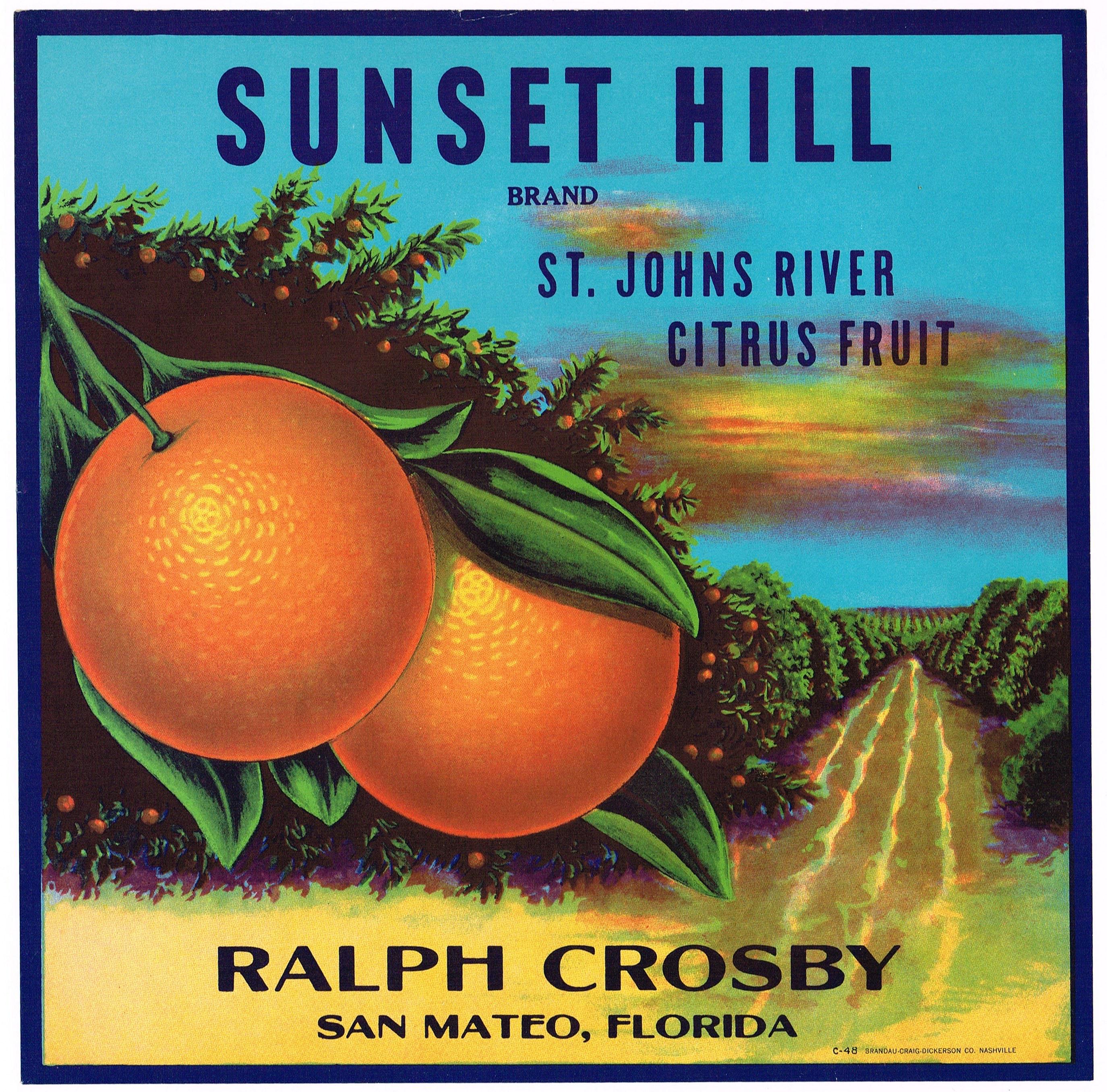 Original Vintage Florida Citrus Crate Label C1930s Rare Sunset