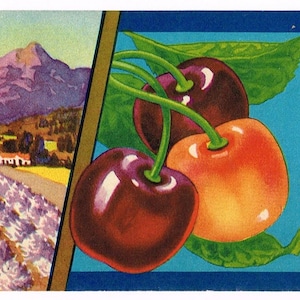 Original vintage cherry crate label 1940s Mountain View Wenatchee Washington Taplett  Landscape Small Label 3x9.75&quot;
