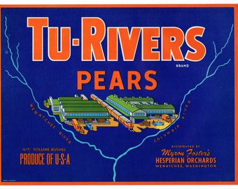 Original vintage pear crate label 1950s Tu-Rivers Wenatchee  & Columbia Washington State Packing House