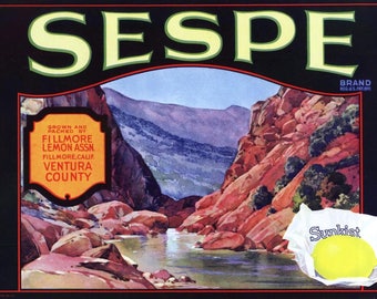 Originele Lemon Crate label Ventura County California jaren 1930 vintage Sespe Canyon Fillmore