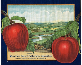 Original Vintage Apfelkiste Label 1920er Jahre Ko-Operative Wenatchee Washington State seltene Landschaft Stein Lithographie selten