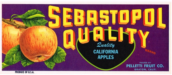Sebastopol Sonoma County California Vine Hill Apple Fruit Crate Label Art Print