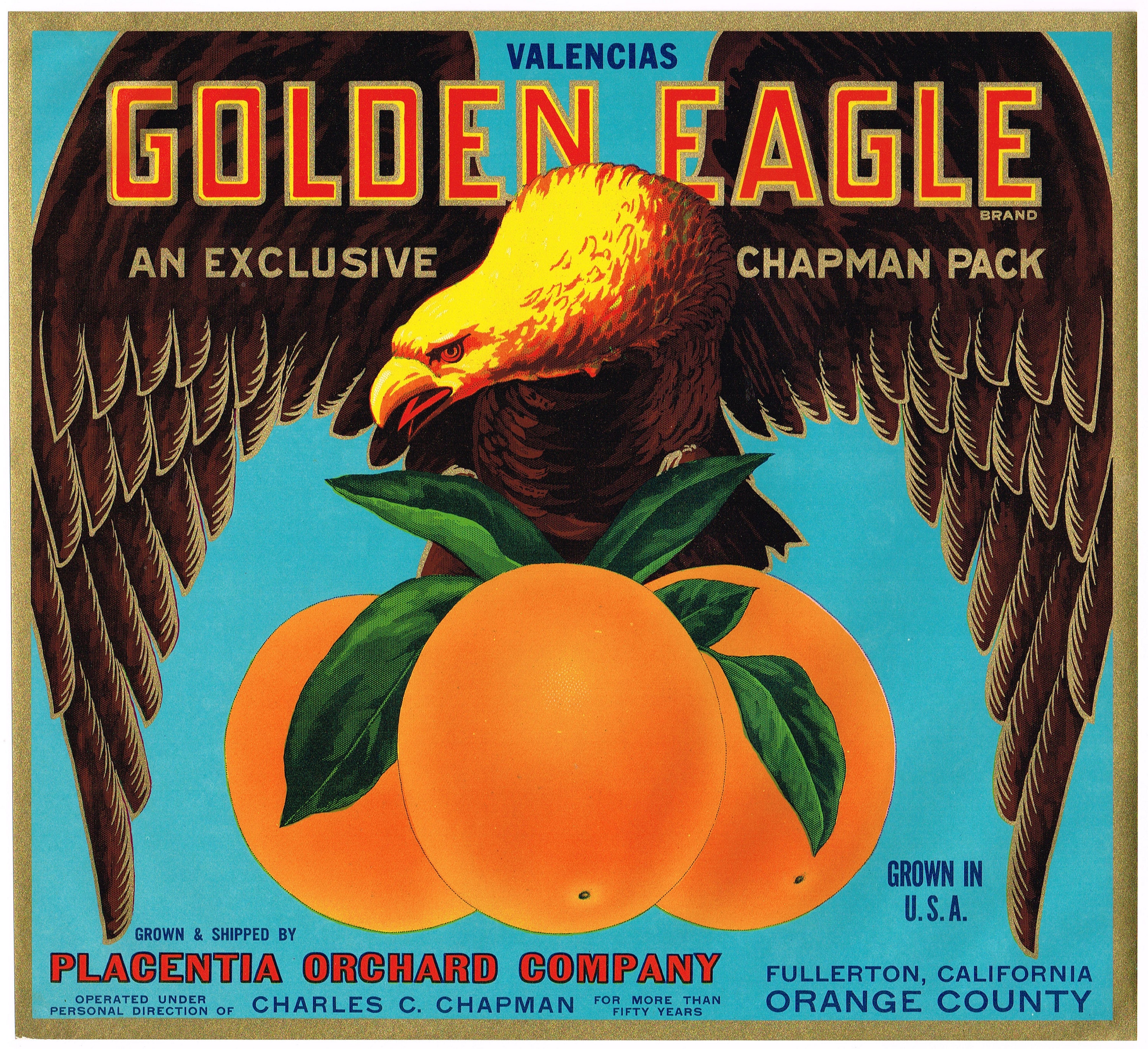 Original Vintage Citrus Crate Label 1930s Golden Eagle Placentia