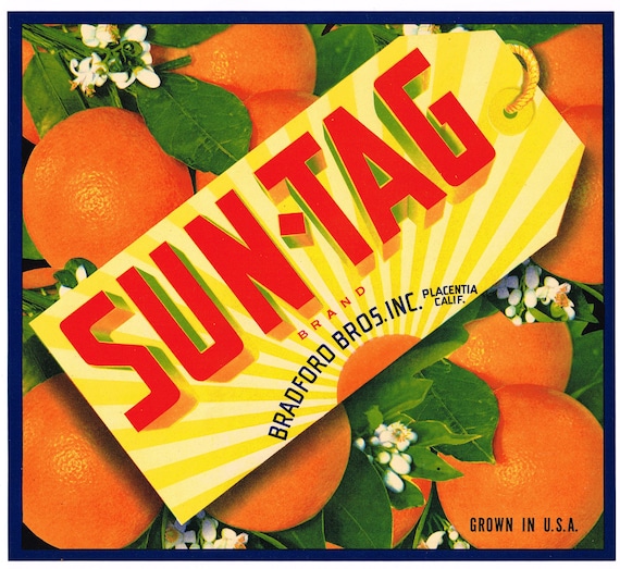 ESPERANZA~SPANISH SENORITA~1940s PLACENTIA CALIFORNIA ORANGE FRUIT CRATE LABEL