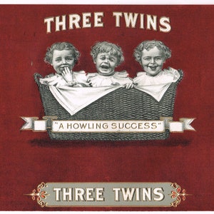Original vintage cigar box label c1910 Chromolithograph Three Twins Twin Baby In a Basket Triplets Embossed Howling Success Inner