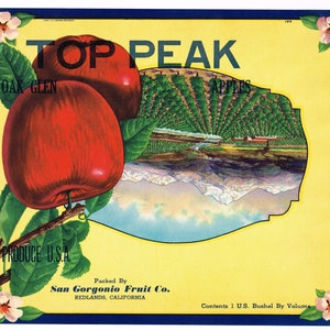 Original vintage apple crate label c1930s Top Peak Redlands California Mt San Gorgonio Peak Scarce Oak Glen Printing Error