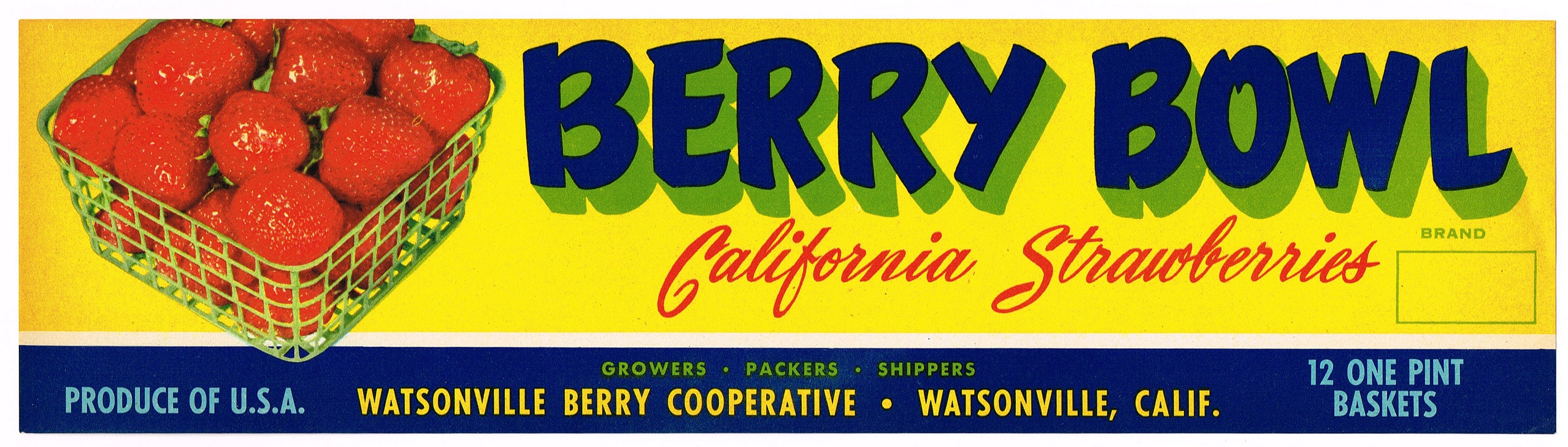 【】Strawberry & Vine 新品　5枚　箱　説明書有 Original Vintage Strawberry Crate Label 1950s Berry Bowl