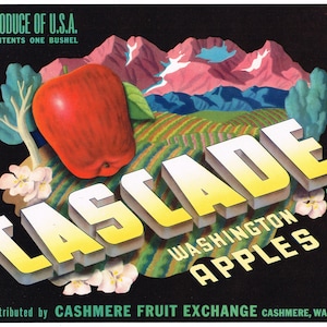 Original vintage apple crate label 1950s Cascade Cashmere Washington Typography Surrealism
