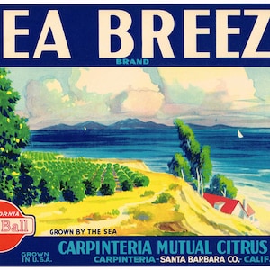 Original Lemon Crate label Santa Barbara County California 1930s vintage Sea Breeze Carpinteria Plein Aire rippling