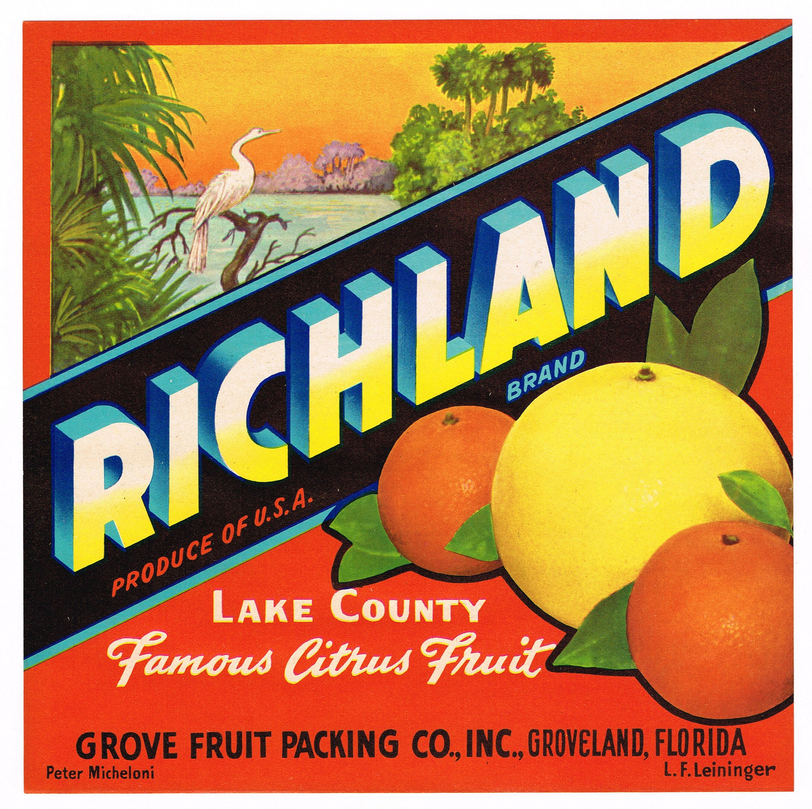 Original Vintage Florida Citrus Crate Label C1940 Richland