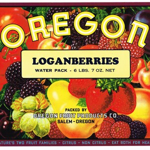 Original vintage Loganberries Crate Label 1950s Oregon Brand Salem Kitchen Decor Fruit