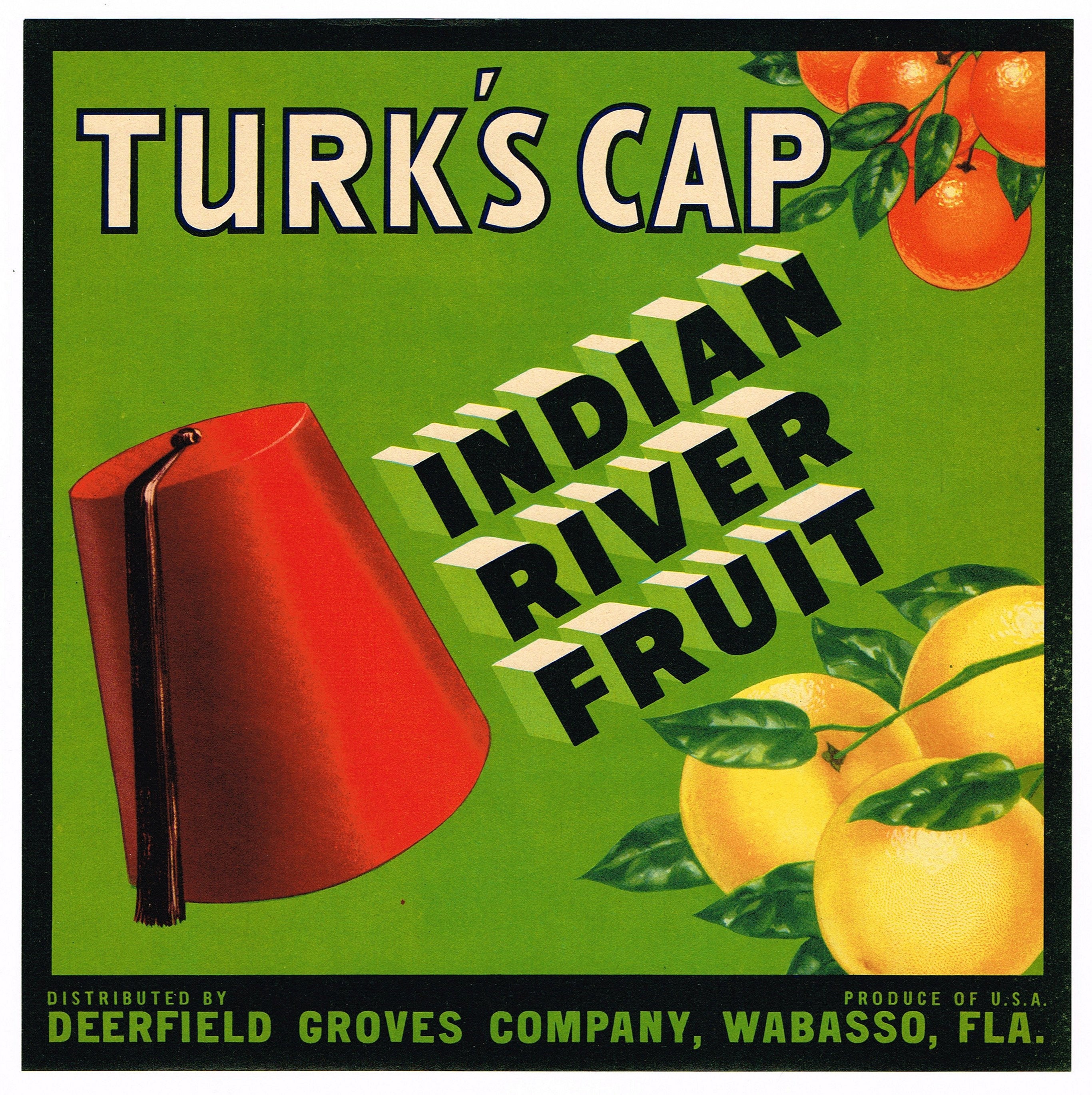 ORKIDEER Vintage Wabasso Florida Citrus Crate Label **AN ORIGINAL FRUIT LABEL** 