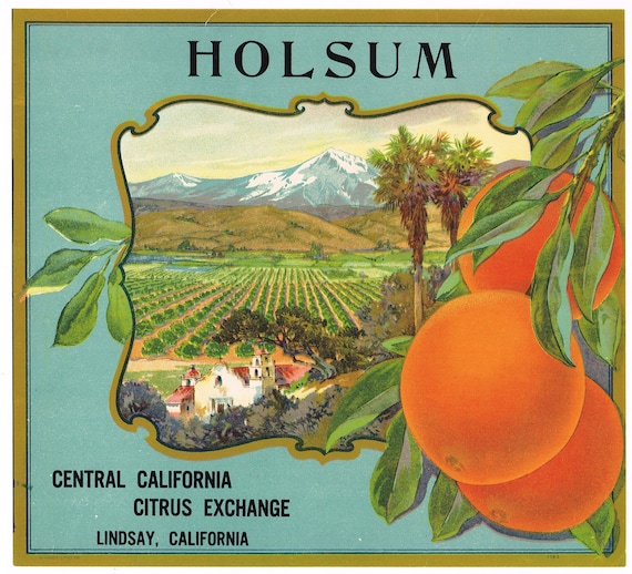 Original Vintage Orange Citrus Crate Label 1930s Holsum Lindsay