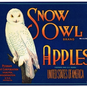 Original vintage apple crate label 1930s Snow Owl Blue Yakima Washington State Wise Bird