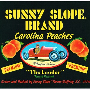Originele vintage Peach krat label 1960s zonnige helling Antieke Pedal Car Gaffney South Carolina