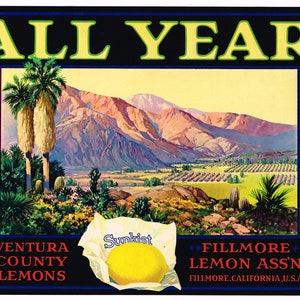 Lemon Crate label Ventura County California Original 1930s vintage Palm Springs Fillmore