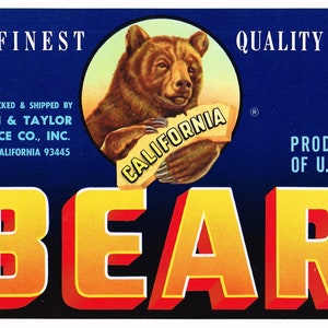 Original Vintage Gemüsekiste Label 1960er Jahre Bär Oceano California State Map Cal Bears 5x7"