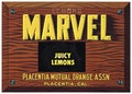 Original vintage citrus crate label 1930s Marvel Overstamp Placentia Orange County Printed Wood Grain Juicy Lemons