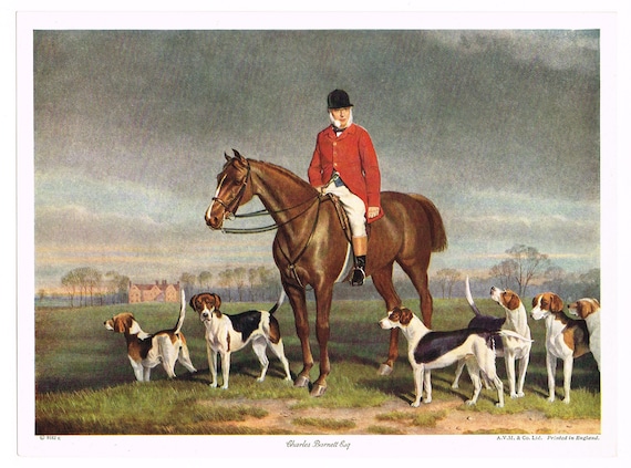 Original Vintage Art Print 1930s Fox Hunting Foxhounds Horse Dog