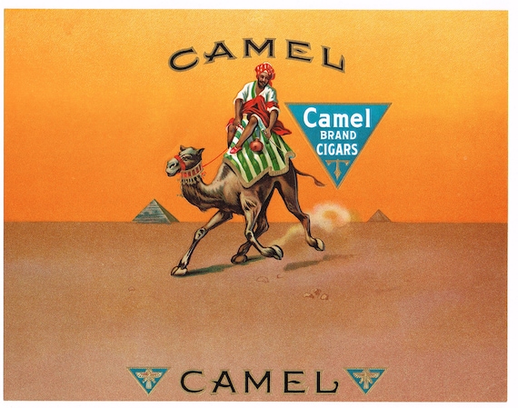 Original Vintage Cigar Box Label C1930s Camel Embossed Egypt