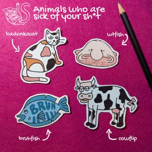 Animals who are sick of your sh*t - Waterproof Vinyl Sticker Set - 4 Sarcastic stickers - Snarky animals - Funny animal stickers
