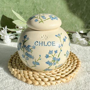 Peut inclure: Un urne funéraire pour animaux de compagnie en céramique crème, avec un couvercle, ornée de motifs floraux bleus. Le nom "CHLOE" est affiché en lettres bleues, avec une empreinte de patte. L'urne repose sur un dessous de verre tressé.