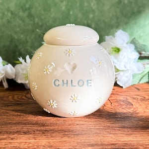 Puede incluir: Una urna de cerámica color crema con tapa, decorada con pequeñas margaritas y el nombre "CHLOE" en azul claro. También presenta una forma de corazón. La urna está sobre una superficie de madera con flores blancas en el fondo.
