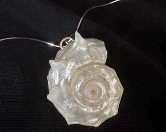 S925 sterlingzilveren natuurlijke handgepolijste schelpketting, op de oceaan geïnspireerde sieraden, unieke strandhanger voor haar