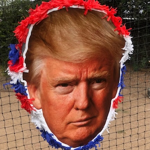 Piñata – Funny Political  Gift for Parties
