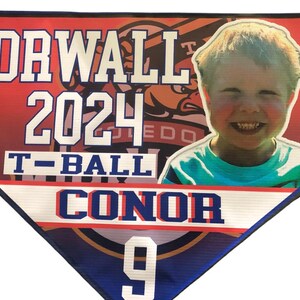 12 Baseball little league pennants