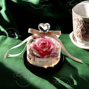 Eternal Rose in Glass Dome - Preserved Flower Gift for Her, Wedding, Anniversary, Birthday, Unique Romantic Home Decor - Gift For Her