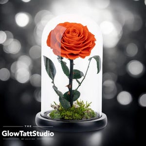 Forever Rose in Glass Dome - Preserved Flower Gift for Wedding, Valentine’s Day, Anniversary, Romantic Home Decor Accent - Gift For Her