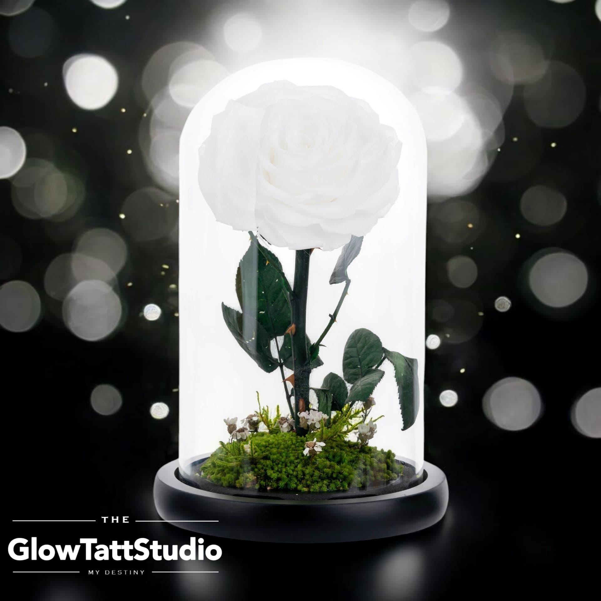 Forever Rose in Glass Dome - Preserved Flower Gift for Wedding ...
