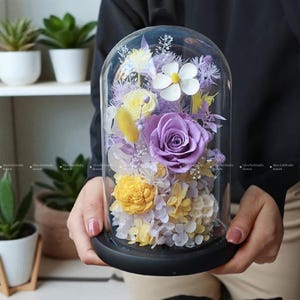 Preserved Rose Glass Dome Gift for Her | Forever Flower Valentine&#39;s Day Girlfriend Present | Romantic Keepsake Anniversary Rose Box