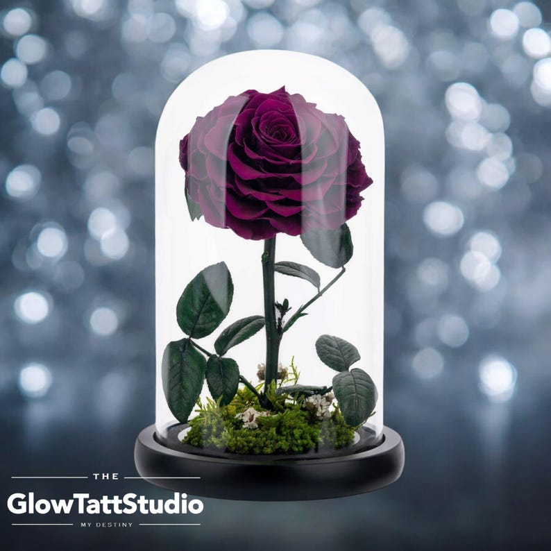 Forever Rose in Glass Dome - Preserved Flower Gift for Wedding ...