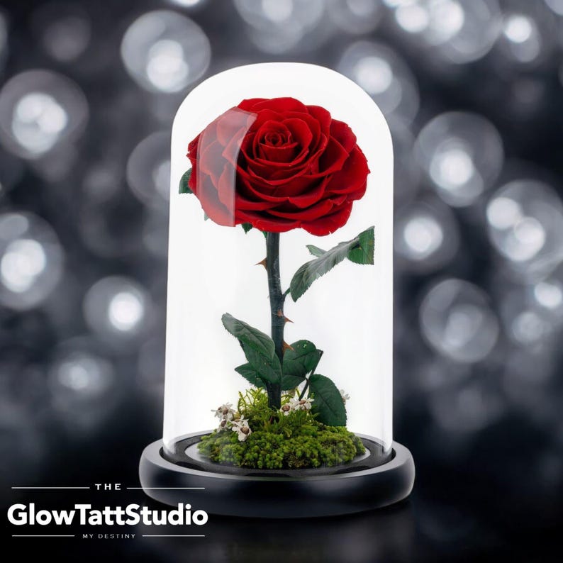Forever Rose in Glass Dome - Preserved Flower Gift for Wedding ...