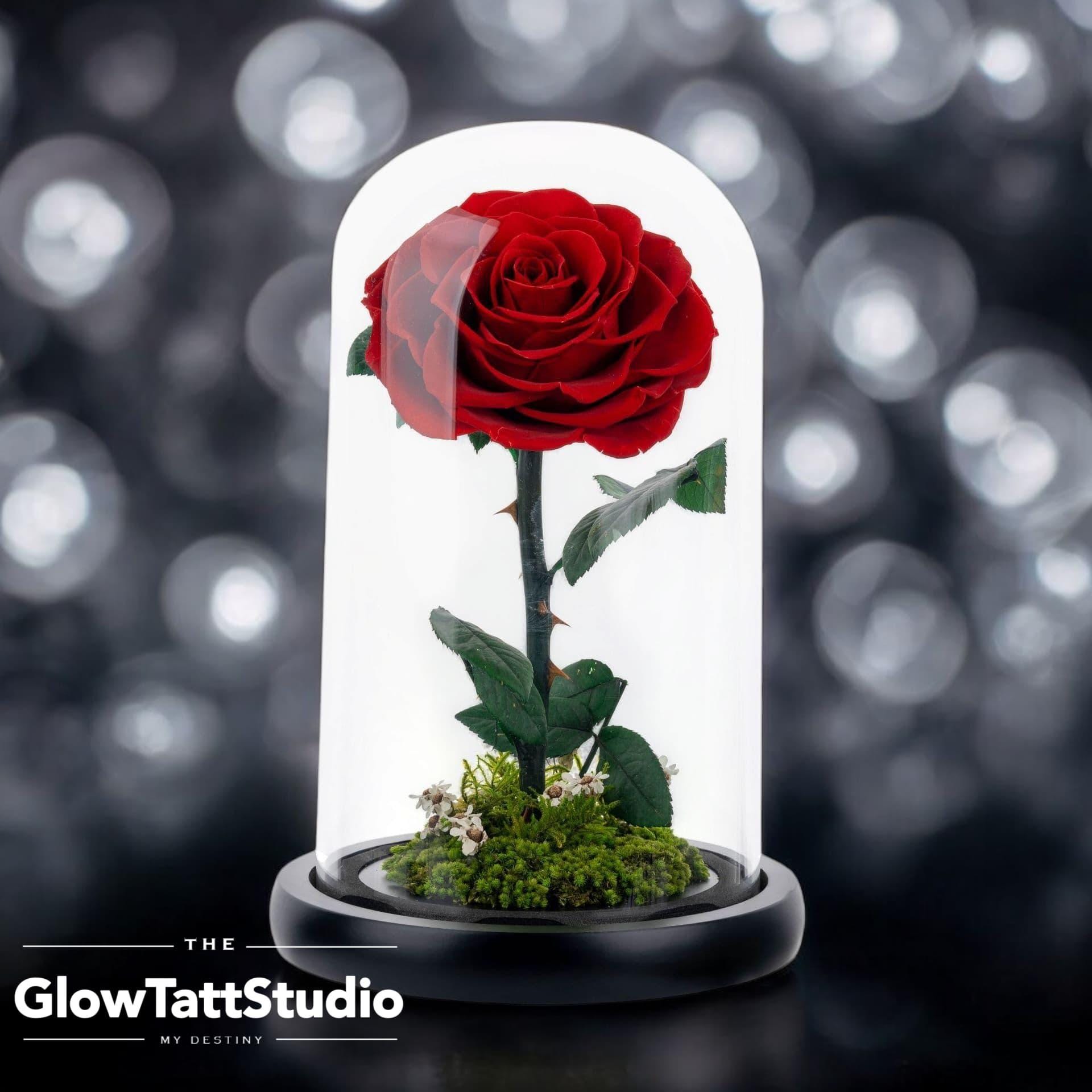 Forever Rose in Glass Dome - Preserved Flower Gift for Wedding ...