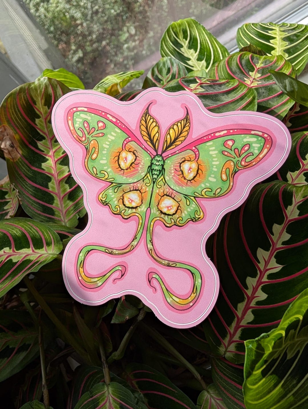 Luna Moth Sticker Decal - Etsy