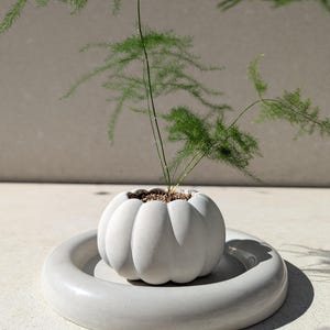 Puede incluir: Una maceta blanca en forma de calabaza con una planta verde en su interior, colocada sobre una bandeja redonda a juego. La planta tiene un follaje verde delicado y plumoso. La maceta y la bandeja son de un material liso y mate.