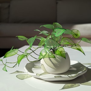 May include: A decorative plant sculpture featuring translucent, vibrant green heart-shaped leaves attached to thin, flexible stems. The plant is potted in a smooth, matte white rounded vessel that rests on a matching white, scalloped-edge ceramic plate.