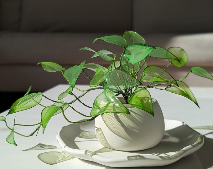 Handmade Round Concrete Planter: Minimalist Home Decor