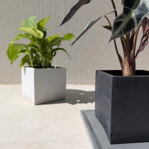 Handmade Square Cement Planter: Minimalist Succulent Cactus Pot