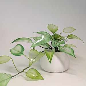 Puede incluir: Una planta artificial decorativa con hojas y tallos verdes brillantes. La planta está en una maceta de cerámica blanca, pequeña y redonda. Las hojas tienen una cualidad translúcida, creando un efecto fresco y vibrante.