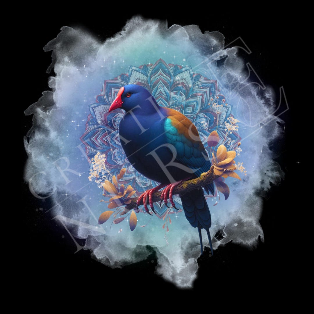 New Zealand Bird Digital Design - Pukeko - Etsy