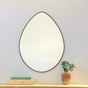 May include: A teardrop-shaped mirror with a black frame hangs above a wooden shelf. Three books and a potted succulent plant are on the shelf.