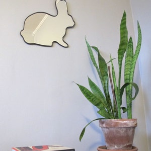 Puede incluir: Un espejo con forma de conejo blanco cuelga de una pared azul claro. Una planta serpiente en maceta con hojas verdes y amarillas rayadas se encuentra sobre una mesa frente al espejo. La planta est&aacute; en una maceta de terracota marr&oacute;n. Un libro titulado "Birds" est&aacute; sobre la mesa.